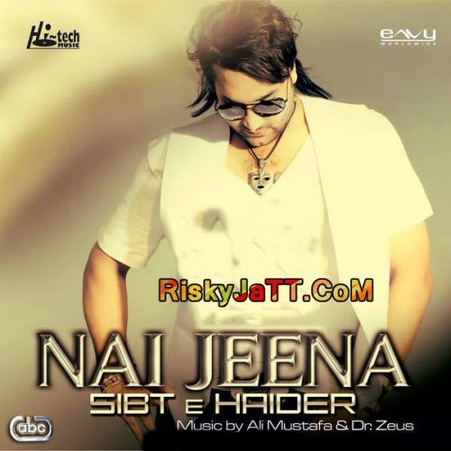 Din Pyar De Dr Zeus, Sibt E Haider Mp3 Song Download