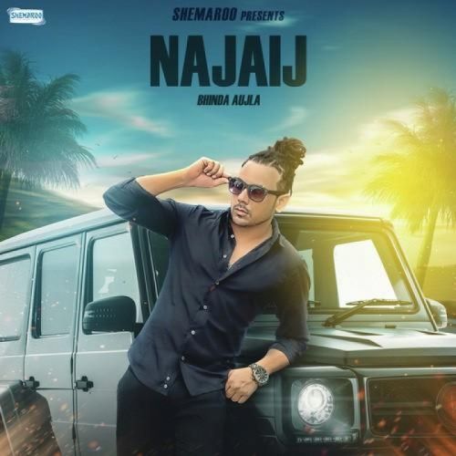 Najaij Bhinda Aujla Mp3 Song Download