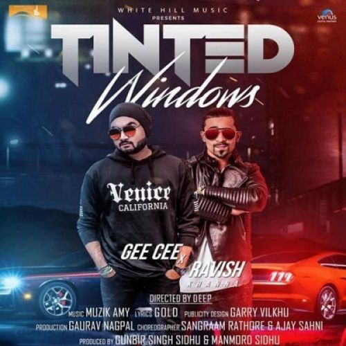 Tinted Windows Gee Cee, Ravish Khanna Mp3 Song Download