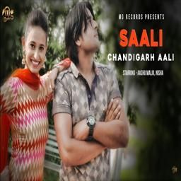 Saali Chandigarh Aali Vinu Gaur Mp3 Song Download