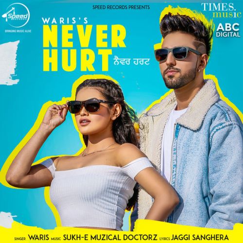 Never Hurt Waris, Sukh E Muzical Doctorz Mp3 Song Download