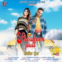 Shoukeen Putt M Saabh, Sudesh Kumari Mp3 Song Download