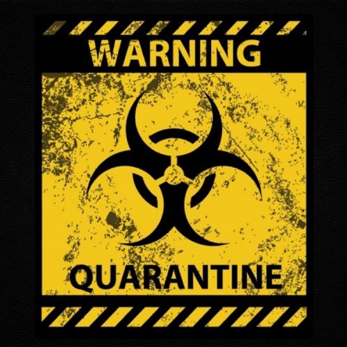 Quarantine Rav Hanjra Mp3 Song Download