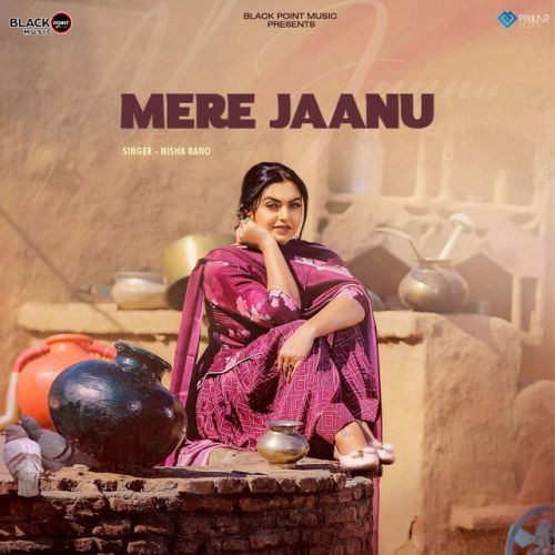 Mere Jaanu Nisha Bano Mp3 Song Download