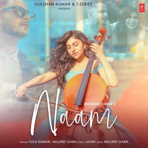 Naam Tulsi Kumar, Milind Gaba Mp3 Song Download