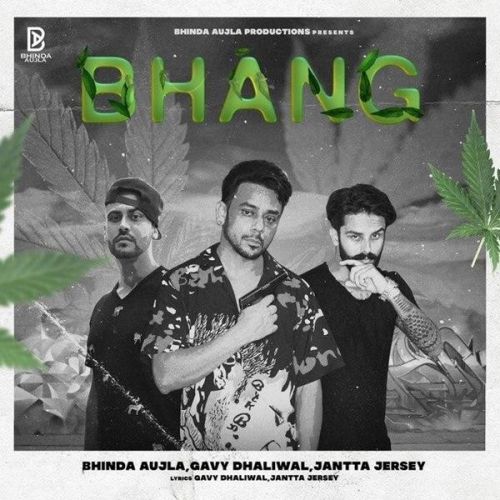 Bhang Bhinda Aujla, Gavy Dhaliwal Mp3 Song Download