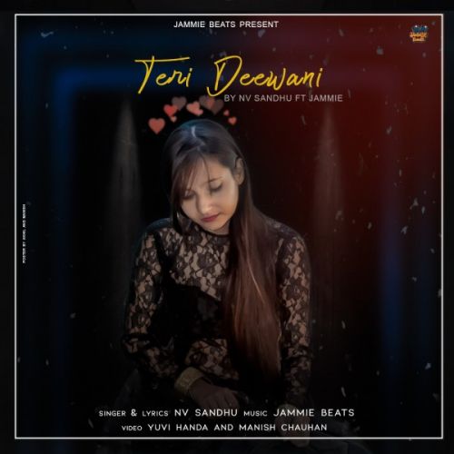 Teri Deewani Nv Sandhu Mp3 Song Download