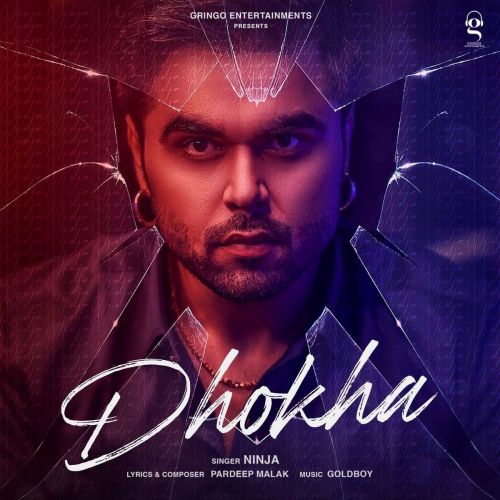 Dhokha Ninja Mp3 Song Download