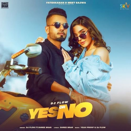 Yes or No DJ Flow, Shree Brar Mp3 Song Download