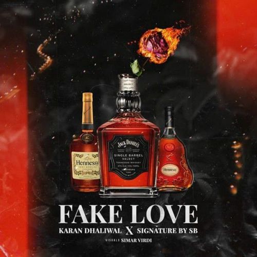 Fake Love Karan Dhaliwal Mp3 Song Download