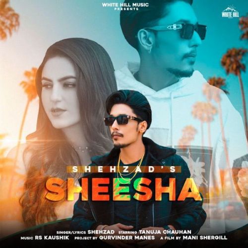 Sheesha Shehzad Mp3 Song Download