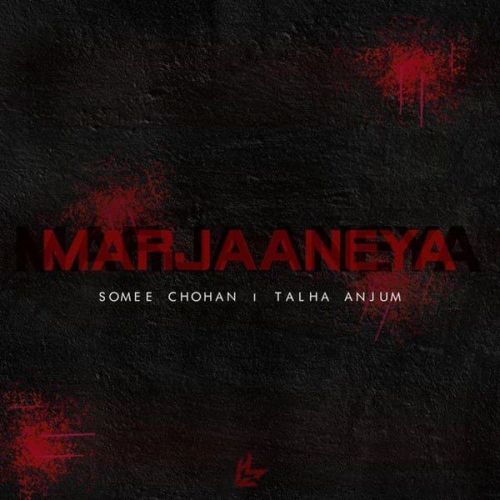 Marjaaneya Somee Chohan, Talha Anjum Mp3 Song Download