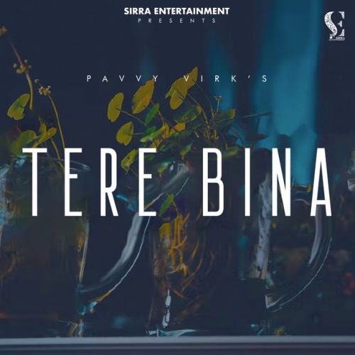 Tere Bina Pavvy Virk Mp3 Song Download