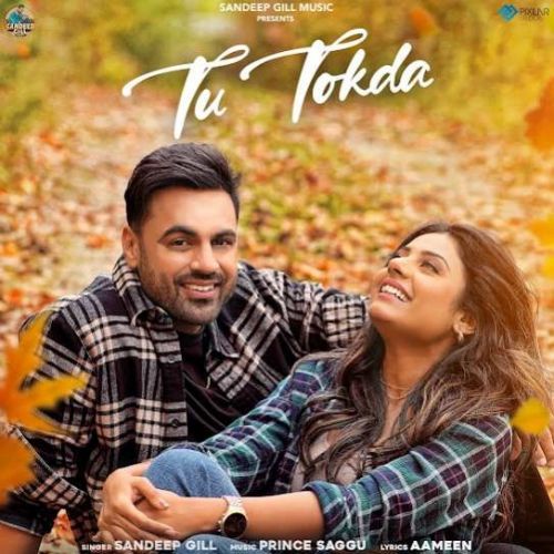 Tu Tokda Sandeep Gill Mp3 Song Download