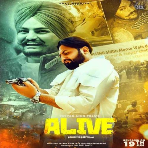 ALive Tayyab Amin Teja Mp3 Song Download