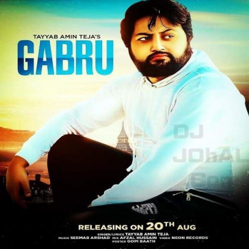 Gabru Tayyab Amin Teja Mp3 Song Download