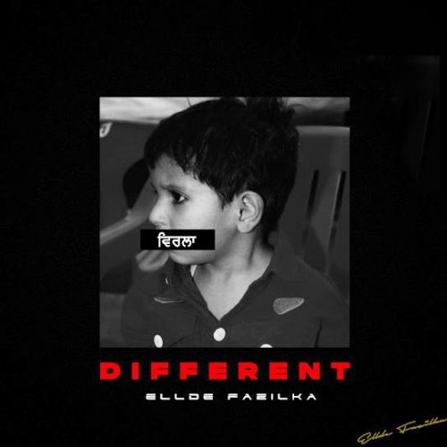 Different Ellde Fazilka Mp3 Song Download