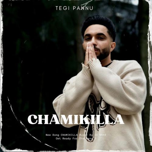 Chamikilla Tegi Pannu Mp3 Song Download