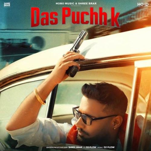 Das Puchh K Shree Brar Mp3 Song Download