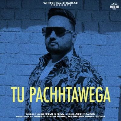 Tu Pachhtawega Gold E Gill Mp3 Song Download