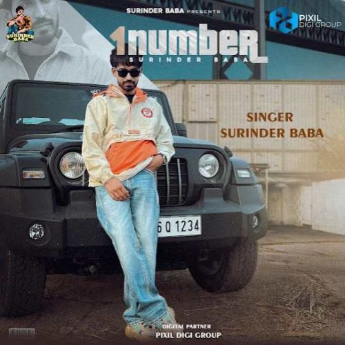 1 Number Surinder Baba Mp3 Song Download