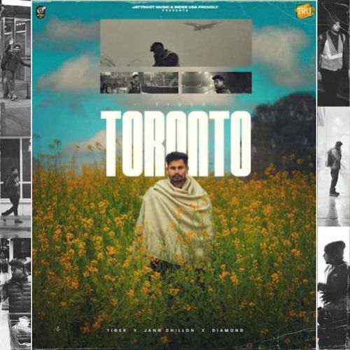 Toronto Tiger Mp3 Song Download