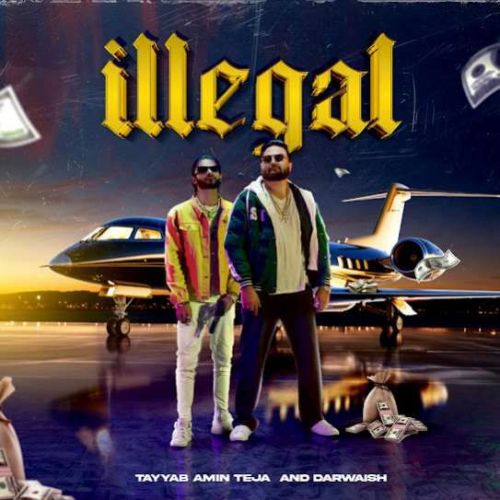 Illegal Tayyab Amin Teja Mp3 Song Download