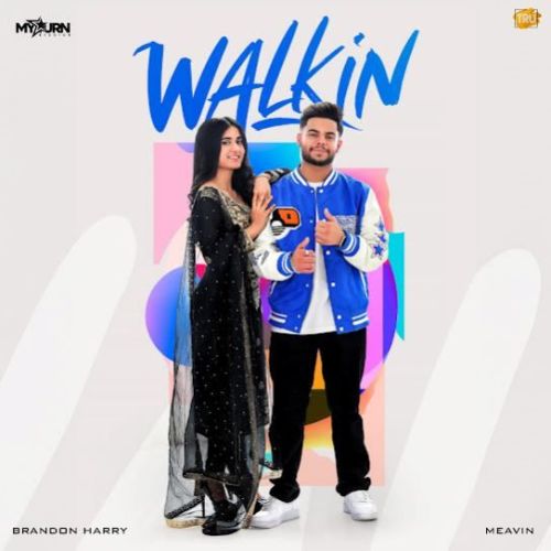 Walkin Brandon Harry Mp3 Song Download