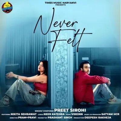 Never Felt Preet Sirohi Mp3 Song Download