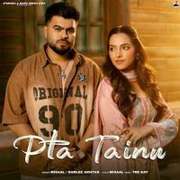 Pta Tainu Misaal Mp3 Song Download
