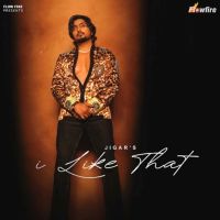 I Like That Jigar Mp3 Song Download