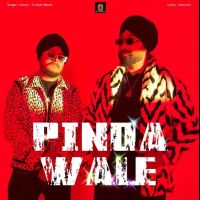 Pinda Wale Turban Beats Mp3 Song Download