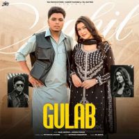 Gulab Sahil Mehrok Mp3 Song Download
