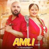 Amli Janta Toor Mp3 Song Download