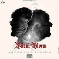The Way She Shines gURi Mp3 Song Download