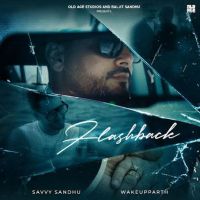 Flashback Savvy Sandhu Mp3 Song Download