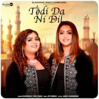 Todi Da Ni Dil Hashmat Sultana Mp3 Song Download