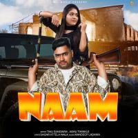 Naam Ashu Twinkle Mp3 Song Download