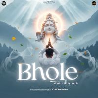 Bhole Tere Ishq Me Ajay Bhagta Mp3 Song Download