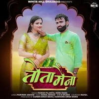 Tota Maina Pawan Pilaniya, Nonu Rana Mp3 Song Download