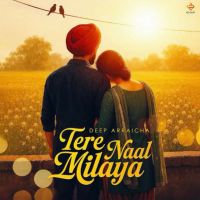 Tere Naal Milaya Deep Arraicha Mp3 Song Download